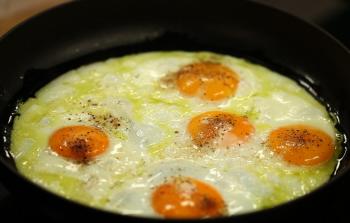 البيض يحتوي الكثير من العناصر المفيدة لجسم الإنسان