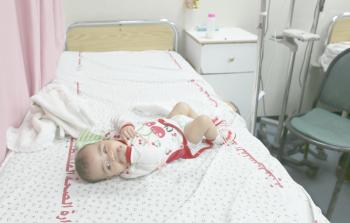 الطفلة حبيبة (تصوير / محمود أبو حصيرة)