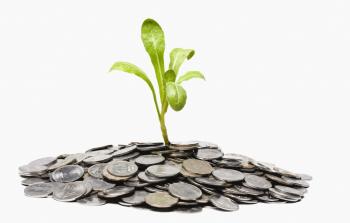  الصدق في المعاملات في البيع والشراء له دور في البركة