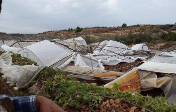 مزارع منكوبة بفعل المنخفضات الجوية (أرشيف)