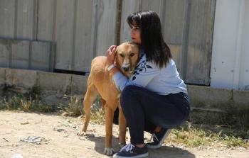 بعابيش تعتني بأحد الكلاب الضالة (الأناضول)