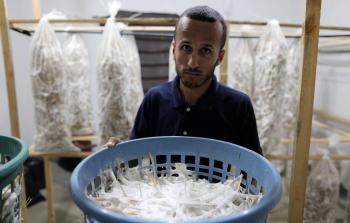 يطمح مهنا أن يصبح لديه أكبر مزرعة فطر في القطاع