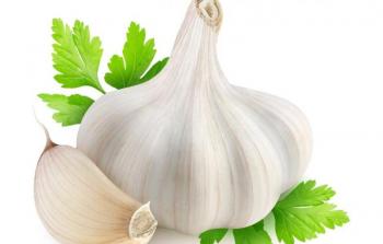 الثوم يقوي المناعة (أرشيف)