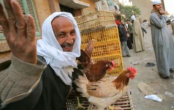 صورة أرشيفية