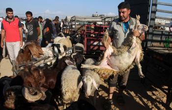 صورة أرشيفية