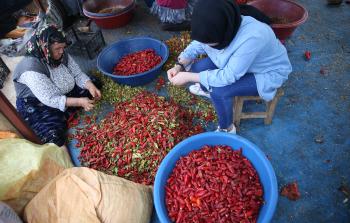 جانب من إعداد دبس الفليفلة بتركيا (الأناضول)