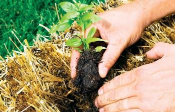 الجو في فصل الخريف يميل لأن يكون مغبرًّا وجافًّا