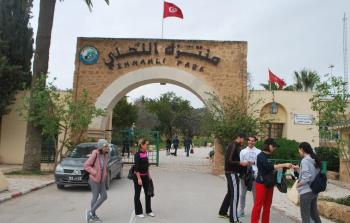 الشباب المتطوعون يوزعون الأكياس والقفازات البلاستيكية عند مدخل منتزه جبل 