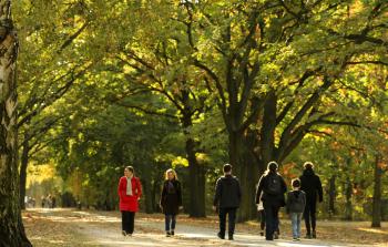 فصل الخريف في برلين (الأناضول)