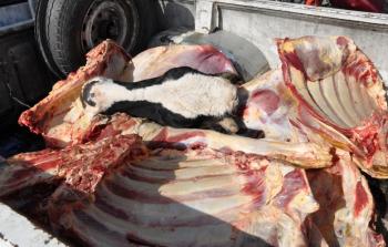 صورة تعبيرية 