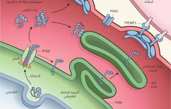 صورة تعبيرية