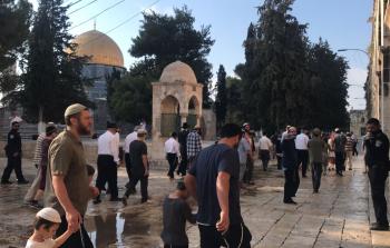 المستوطنون أدوا طقوسًا وشعائر تلمودية خلال اقتحامهم