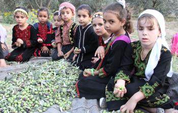 مشاركة الأطفال في جني ثمار الزيتون تنمي لديهم أهمية العمل الجماعي
