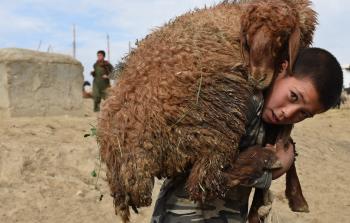 صورة تعبيرية 