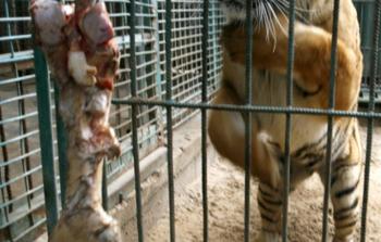 (صورة إرشيفية)