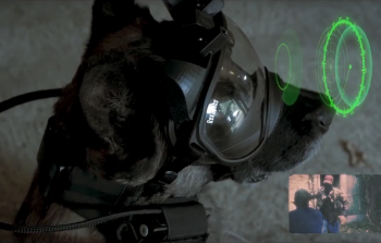 توضع على رؤوس وأعين الكلاب بشكل لا يعيق حركته