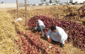 يتم أخد عينات منها بشكل دوري للفحص والتأكد من سلامتها