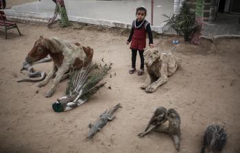 بعض من حيوانات حديقة رفح (الأناضول)