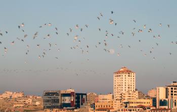 صورة أرشيفية