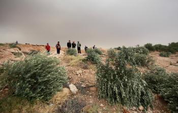 الاحتلال يجرف أراضي فلسطينية في الأغوار (الأناضول)