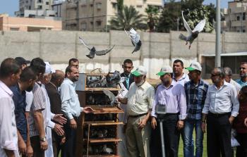 جانب من مسابقة للحمام الزاجل بغزة (الأناضول)