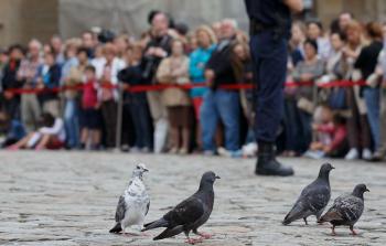 الحمام في بريطانيا 