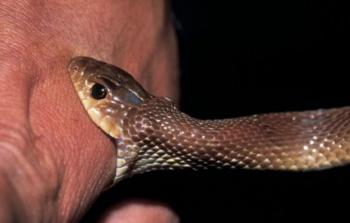 صورة تعبيرية