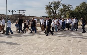 مستوطنون يقتحمون الأقصى (الأناضول)