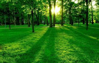 مدينة خضراء.jpg