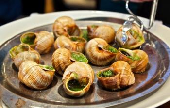 أكل الحلزون البري حلال أم حرام؟