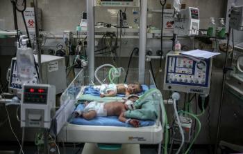 صورة أرشيفية