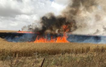 توضيحية (أرشيف)