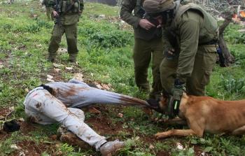 القرار النمساوي جاء لصالح الاحتلال الذي ينتهك الحياة الآدمية للفلسطينيين