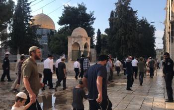 صورة توضيحية لعملية اقتحام سابقة للأقصى(أرشيف)