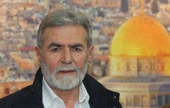 زياد النخالة