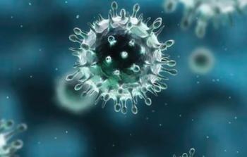 توضيحية (أرشيف)