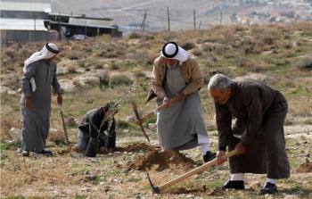 مواطنون فلسطينيون يفلحون أرضا مهددة بالمصادرة في الضفة الغربية (أرشيف)