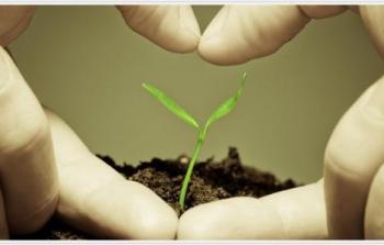 صورة تعبيرية