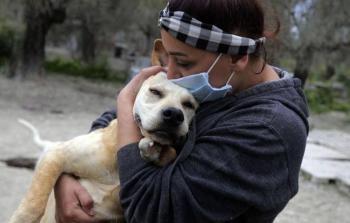 توضيحية (أرشيف)