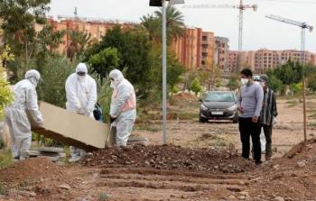 صورة أرشيفية