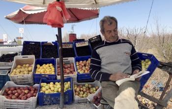 الفلاح التركي أثناء قراءته الكتب - الأناضول