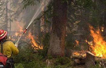 صورة تعبيرية