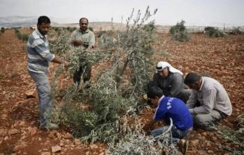 صورة تعبيرية