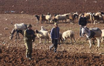توضيحية (أرشيف)