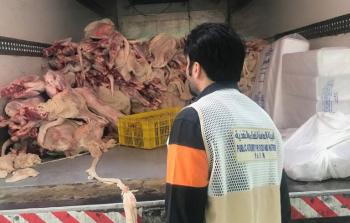 توضيحية (أرشيف)