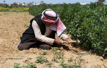 توضيحية (أرشيف)