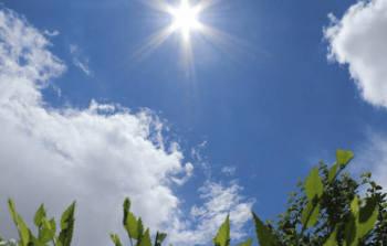 صورة تعبيرية