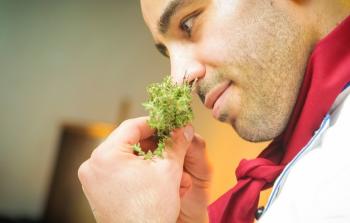 توضيحية (أرشيف)