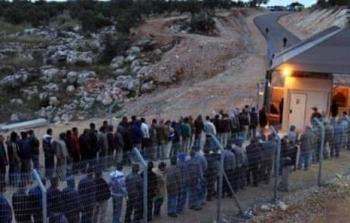 جانب من دخول العمال اليوم إلى الأراضي المحتلة