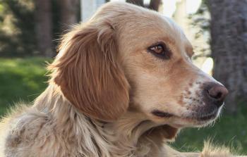 توضيحية (أرشيف)